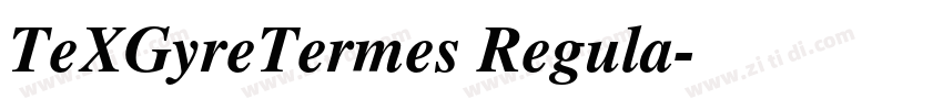 TeXGyreTermes Regula字体转换